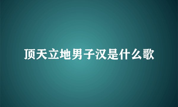 顶天立地男子汉是什么歌