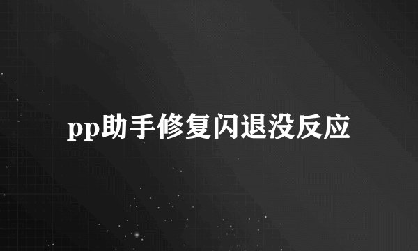 pp助手修复闪退没反应