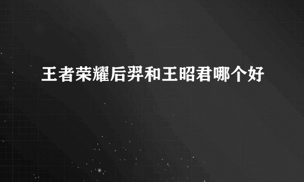 王者荣耀后羿和王昭君哪个好