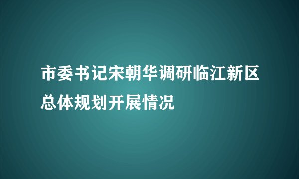 市委书记宋朝华调研临江新区总体规划开展情况