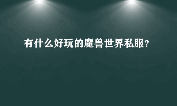 有什么好玩的魔兽世界私服？