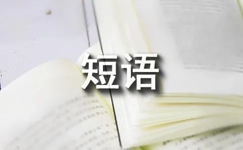 put up的用法及短语