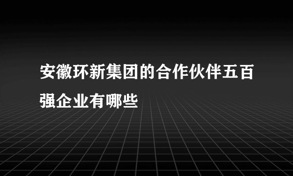 安徽环新集团的合作伙伴五百强企业有哪些