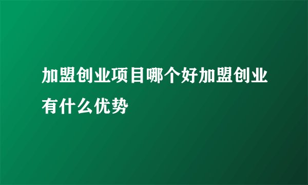 加盟创业项目哪个好加盟创业有什么优势