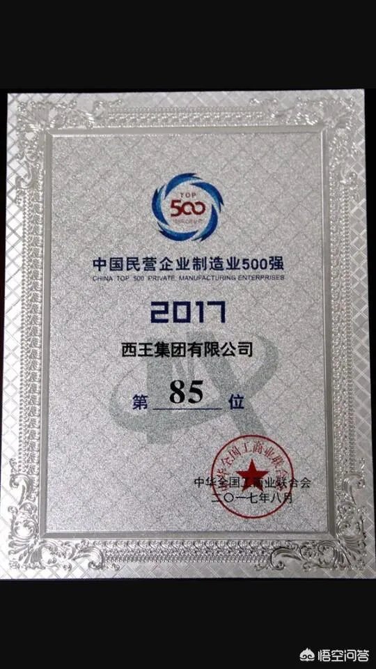 山东的西王村,到底有多富?