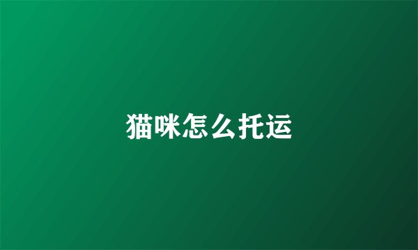 猫咪怎么托运