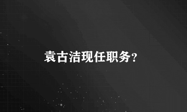 袁古洁现任职务？