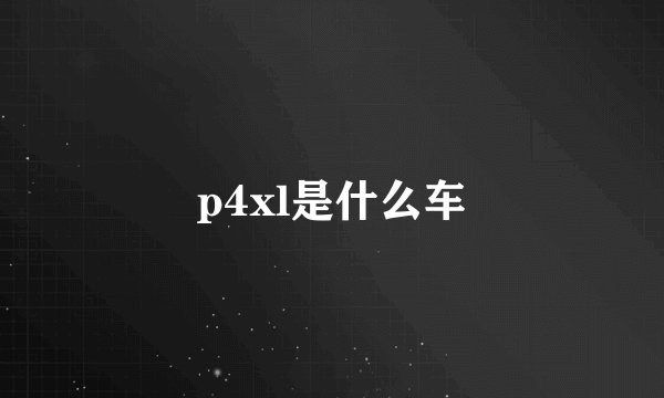 p4xl是什么车