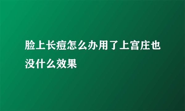 脸上长痘怎么办用了上宫庄也没什么效果
