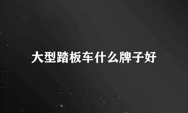 大型踏板车什么牌子好