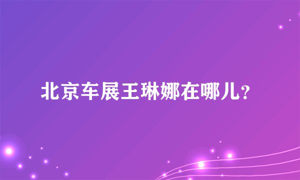 北京车展王琳娜在哪儿？