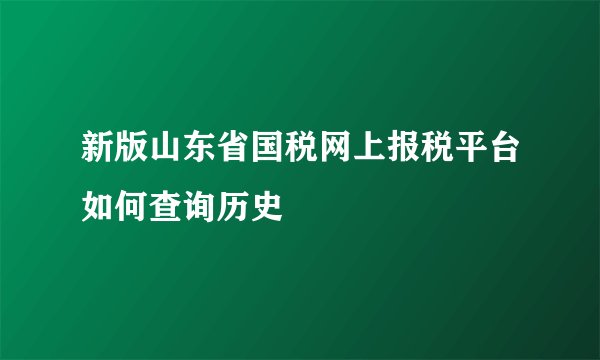 新版山东省国税网上报税平台如何查询历史