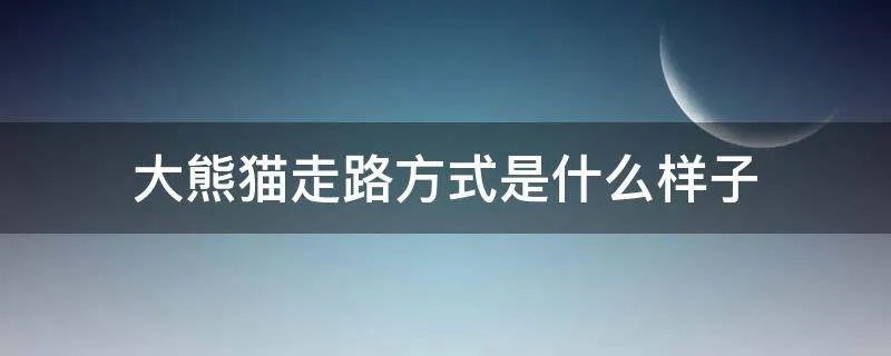 大熊猫走路方式是什么样子