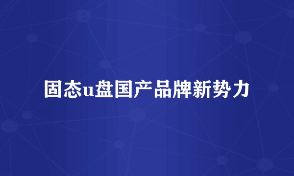 固态u盘国产品牌新势力