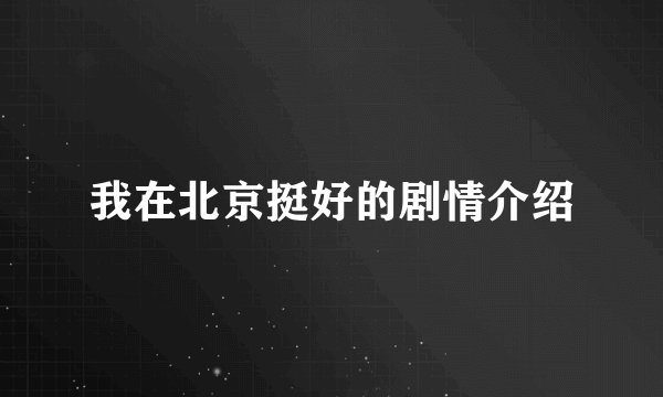 我在北京挺好的剧情介绍