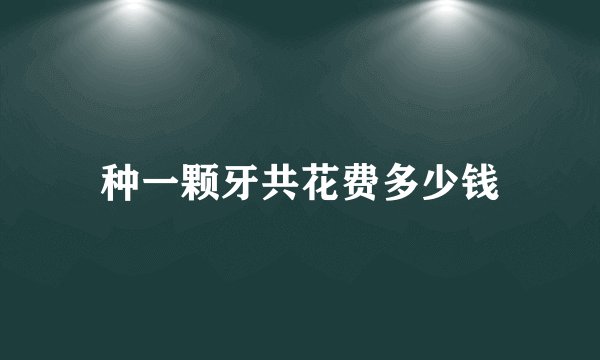 种一颗牙共花费多少钱