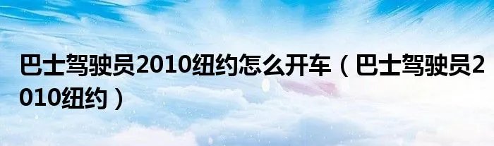 巴士驾驶员2010纽约怎么开车（巴士驾驶员2010纽约）