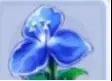 《桃花源记》桃花攻略|我是一名专职采花的采花贼