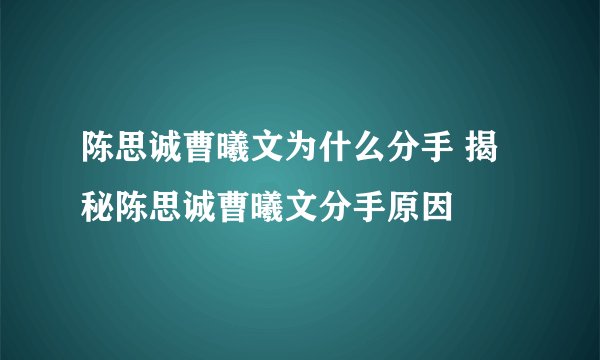 陈思诚曹曦文为什么分手 揭秘陈思诚曹曦文分手原因