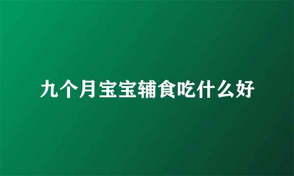 九个月宝宝辅食吃什么好