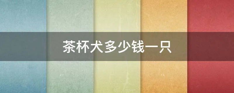 茶杯犬多少钱一只