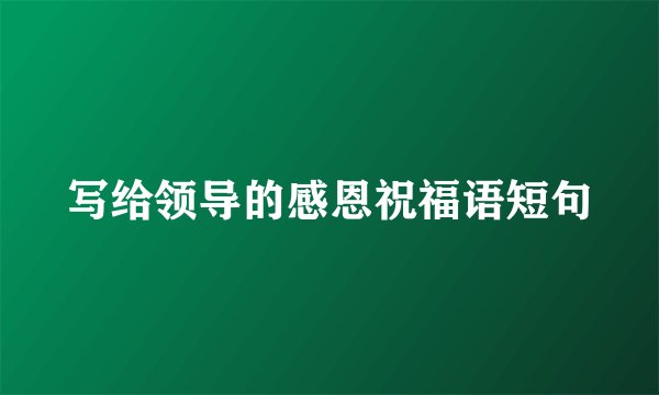 写给领导的感恩祝福语短句