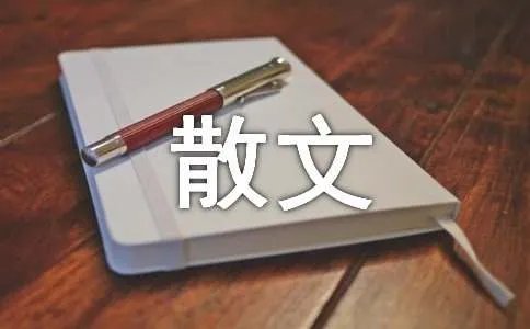 就这样飘来飘去抒情散文
