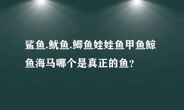 鲨鱼.鱿鱼.鲫鱼娃娃鱼甲鱼鲸鱼海马哪个是真正的鱼？