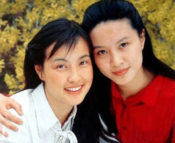 女演员方舒与屠洪刚离婚后,独自养育两个女儿,现在怎么样了?