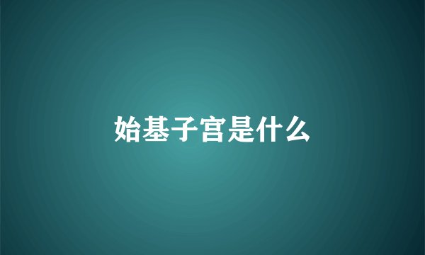 始基子宫是什么