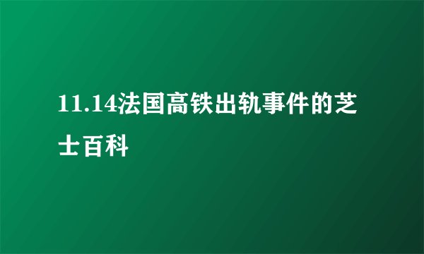 11.14法国高铁出轨事件的芝士百科