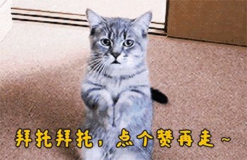 房子买了以后,放骨灰盒进去可以吗?