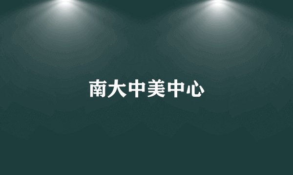 南大中美中心