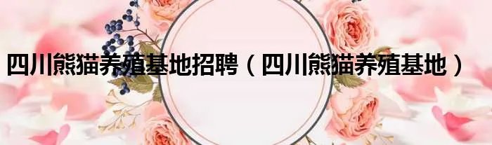 四川熊猫养殖基地招聘（四川熊猫养殖基地）