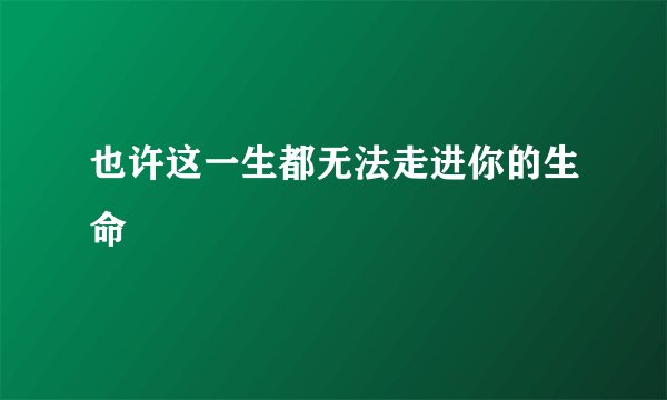 也许这一生都无法走进你的生命