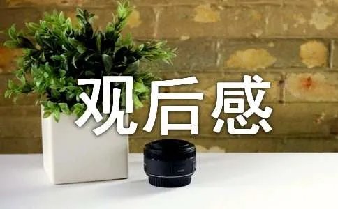 中华骄傲的观后感