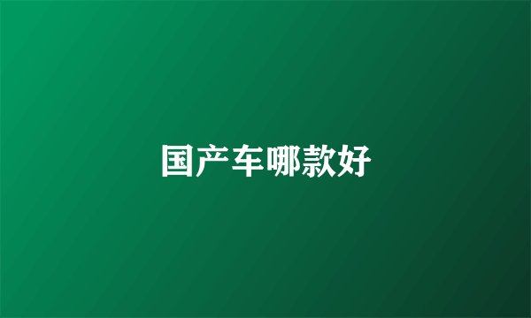 国产车哪款好