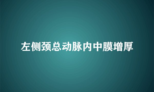 左侧颈总动脉内中膜增厚