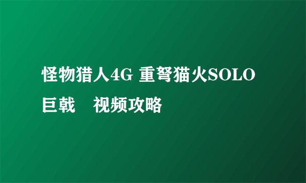 怪物猎人4G 重弩猫火SOLO巨戟龍视频攻略