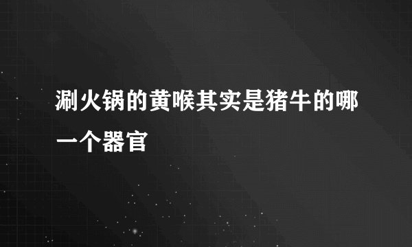 涮火锅的黄喉其实是猪牛的哪一个器官