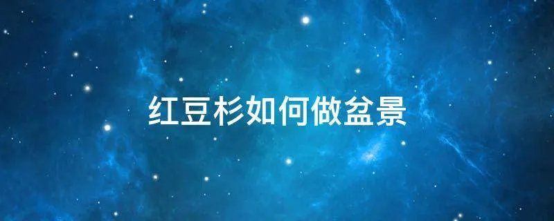 红豆杉如何做盆景