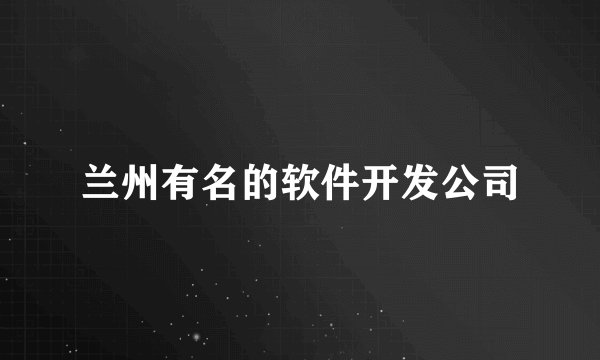 兰州有名的软件开发公司