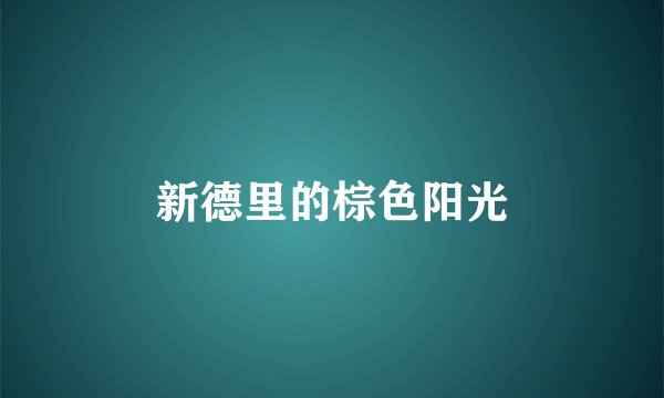 新德里的棕色阳光