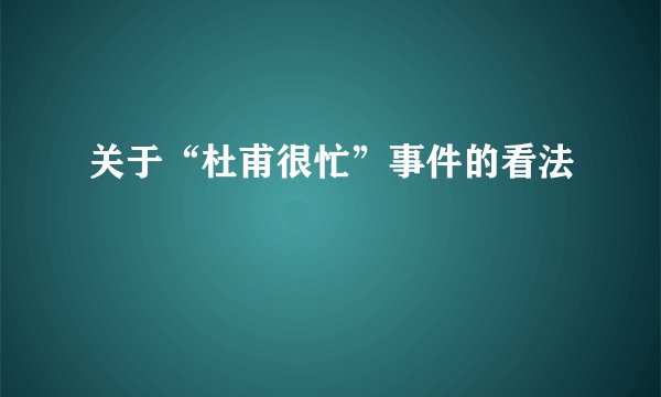 关于“杜甫很忙”事件的看法