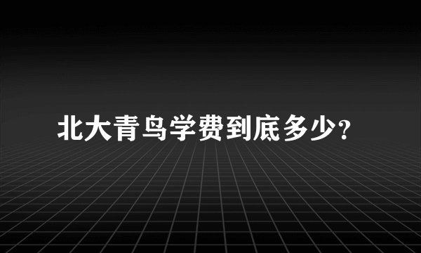 北大青鸟学费到底多少？