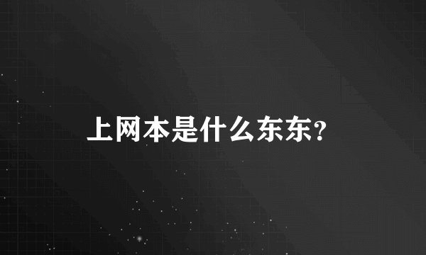 上网本是什么东东?