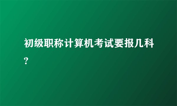 初级职称计算机考试要报几科?