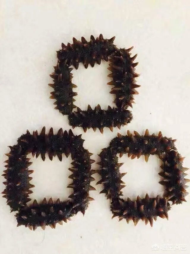 创业坚持做自己的品牌，还是去加盟一个同行的大品牌更合适？