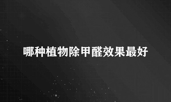 哪种植物除甲醛效果最好