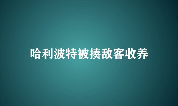 哈利波特被揍敌客收养